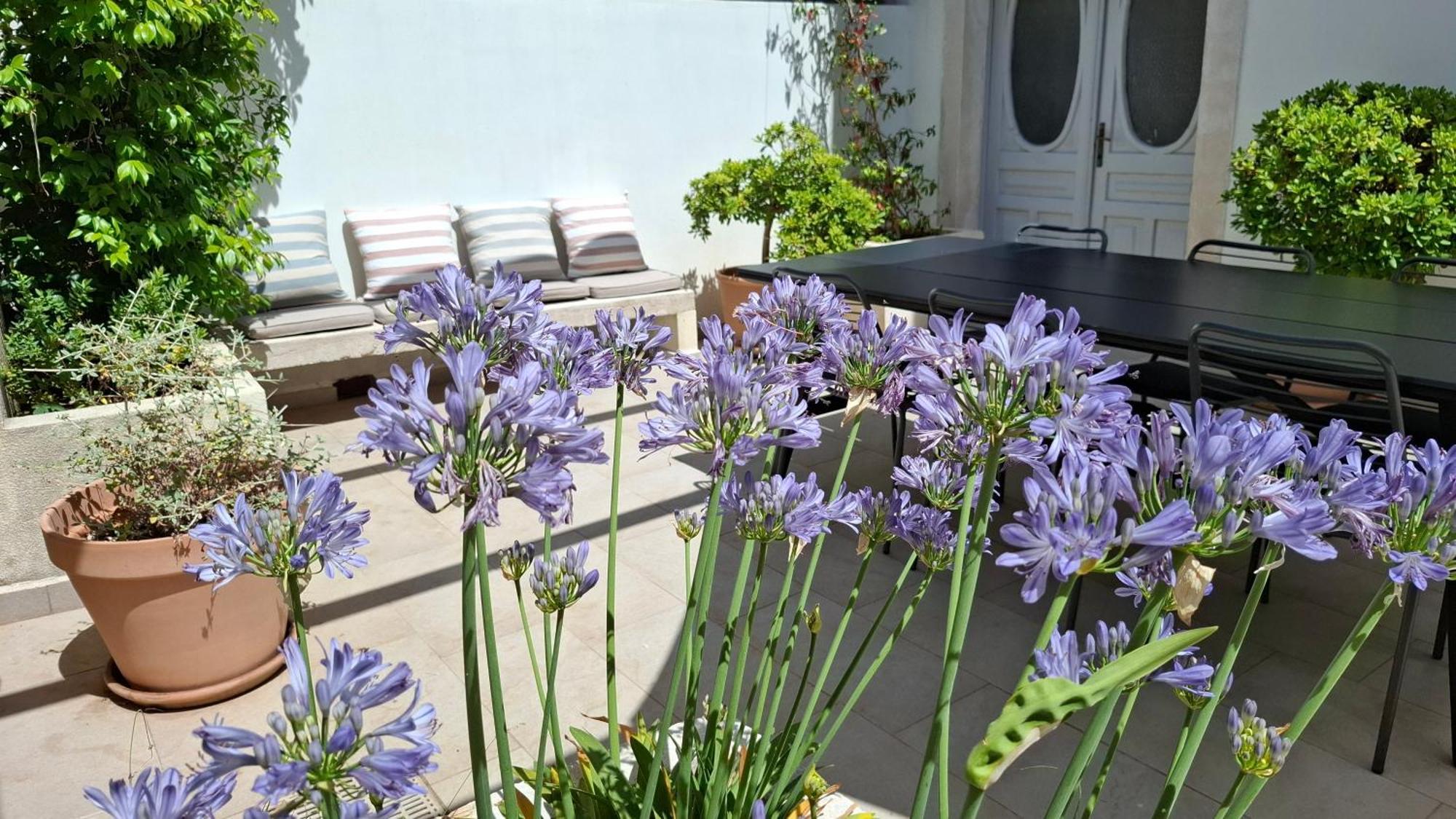 Villa Mira With A Heated Pool And A Sea View Божава Экстерьер фото